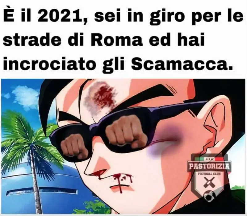 meme su scamacca 1