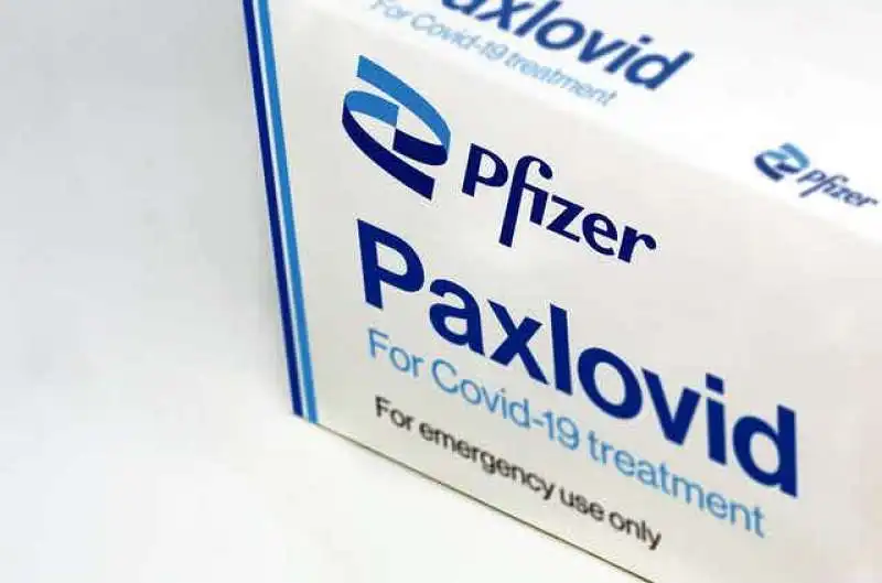 paxlovid 