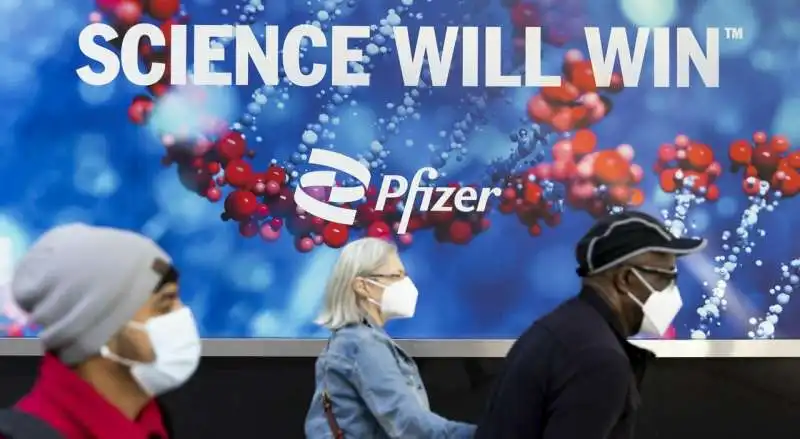 pfizer 7