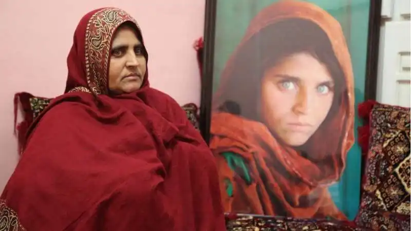 sharbat gula 2