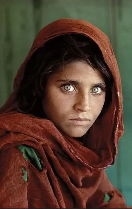 sharbat gula 4