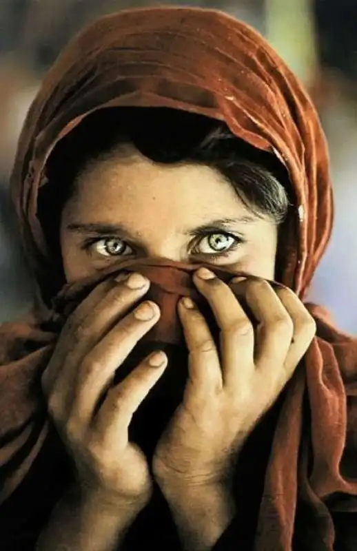 sharbat gula 5