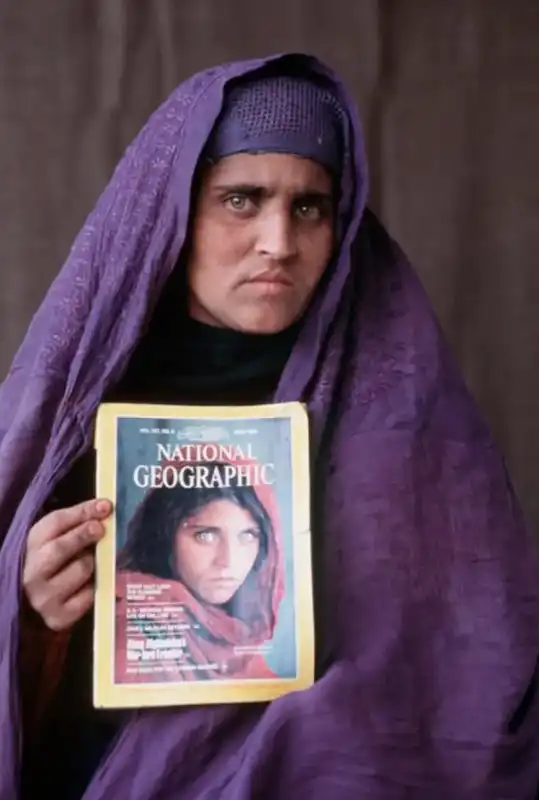 sharbat gula 7