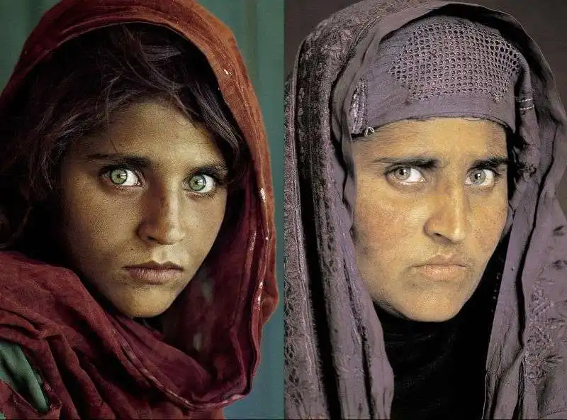 sharbat gula 9