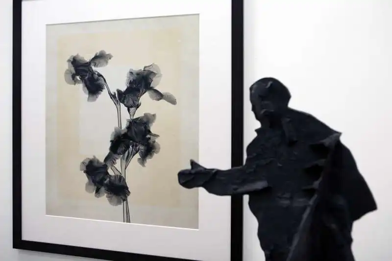  thomas ruff   kentridge   lia rumma gallery