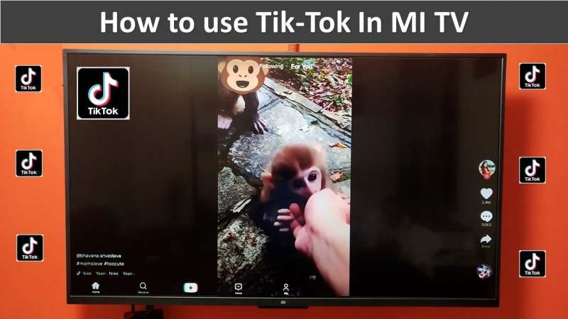 tiktok in televisione 10