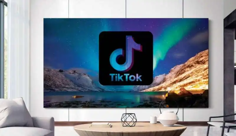 tiktok in televisione 13