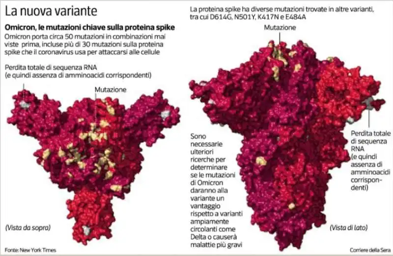 VARIANTE OMICRON