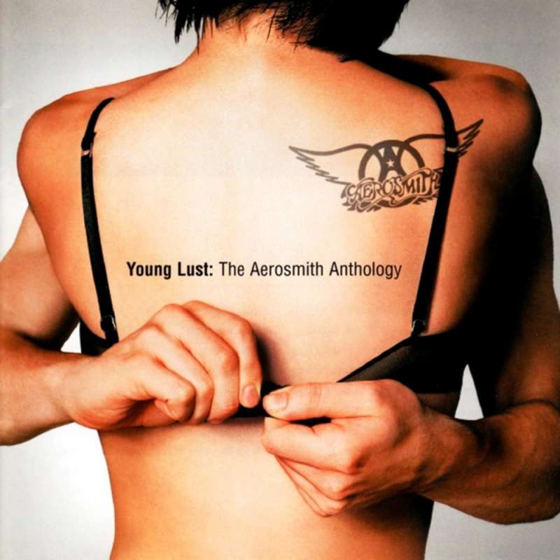 young lust the aerosmith anthology