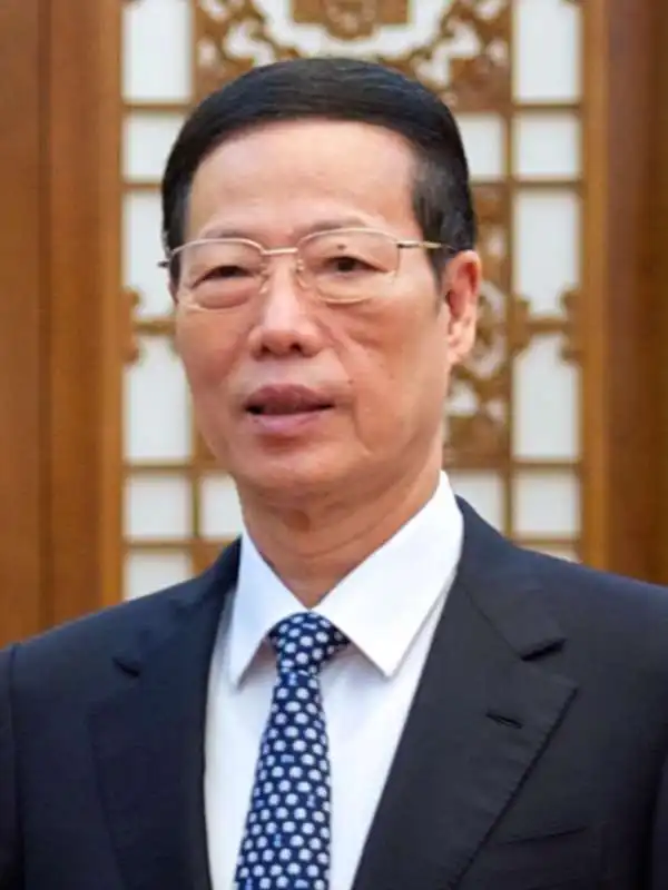  Zhang Gaoli 66