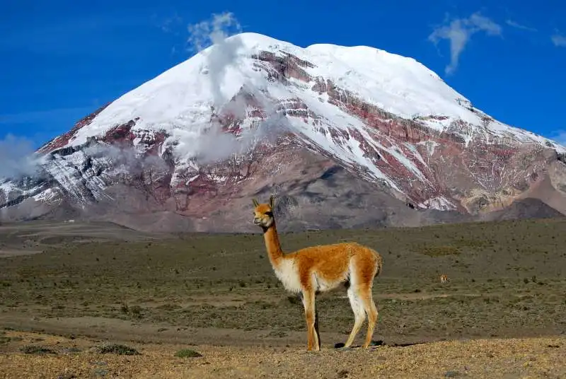 chimborazo 1