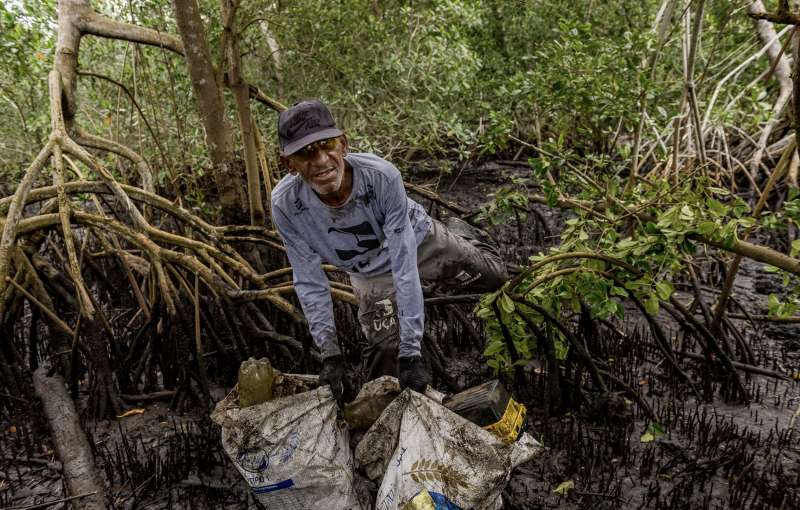 foto mangrove photography awards 2022 5