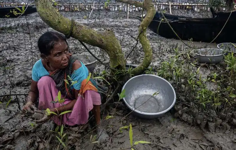 foto mangrove photography awards 2022 6