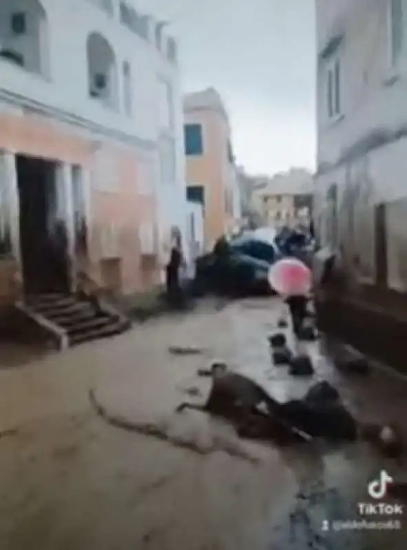 frana e alluvione a casamicciola terme   ischia   11