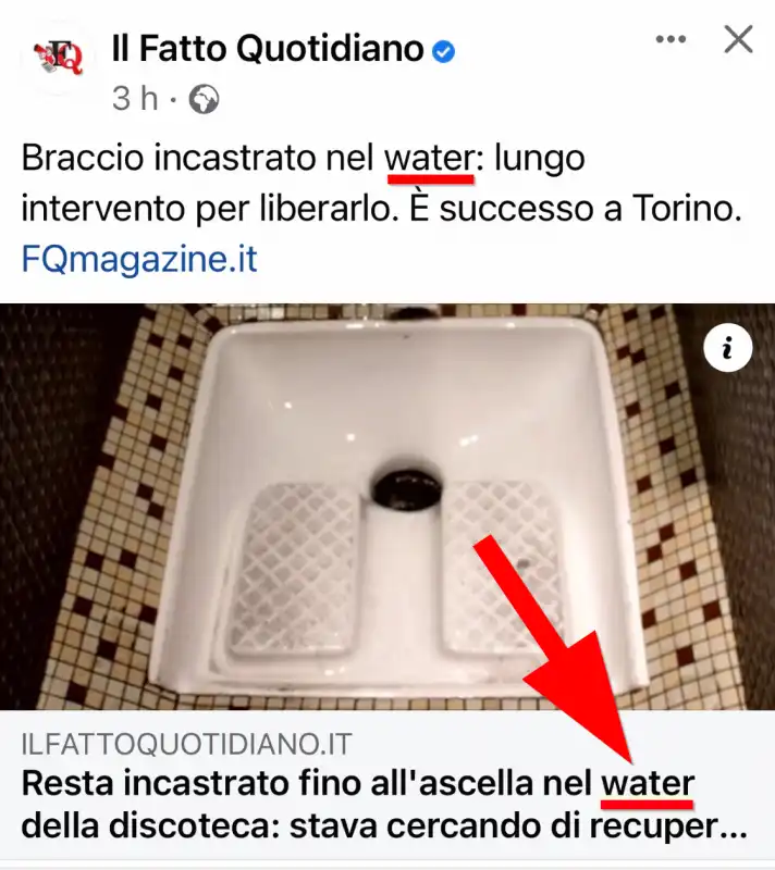 Il Fatto Quotidiano, la turca diventa il water