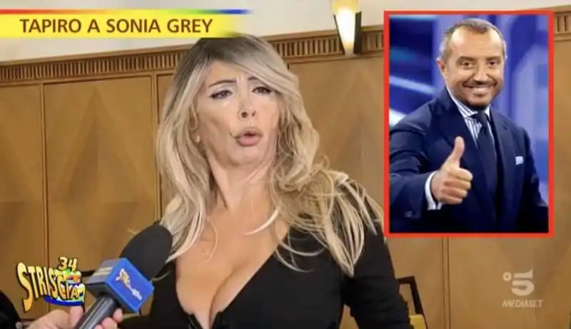 il tapiro a sonia grey per le 'molestie' a franco di mare    2