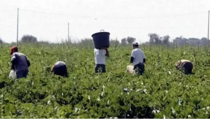 L'indagine dei carabinieri sui minorenni sfruttati e discriminati nelle coop della moglie di Aboubakar soumahoro