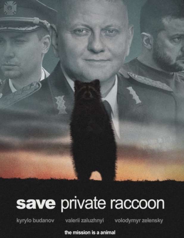 meme sul procione rapito dai russi allo zoo di kherson 4