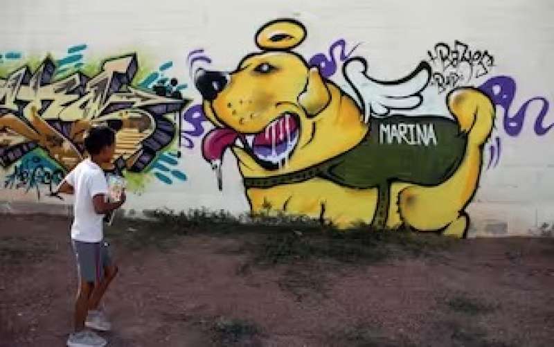 murale in onore di frida il cane eroe che ha salvato decine di persone dopo il terremoto in messico 2