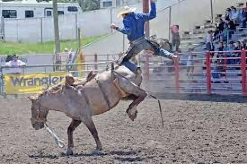 rodeo 