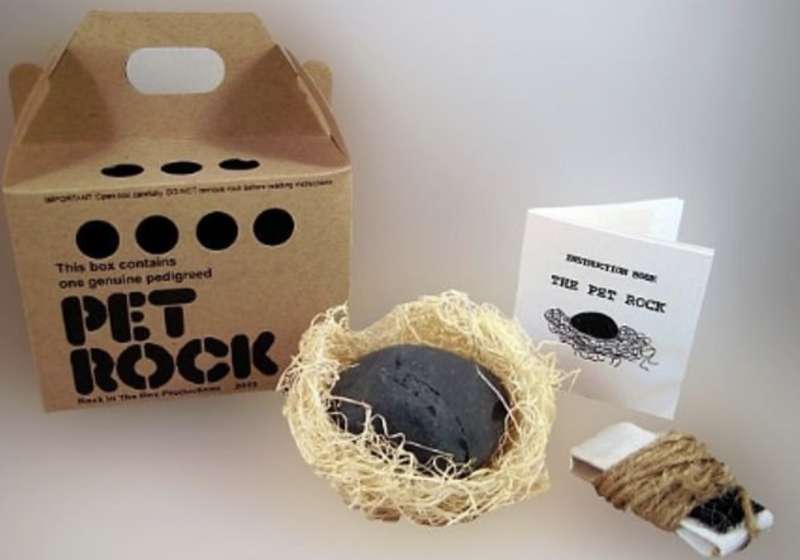 the pet rock