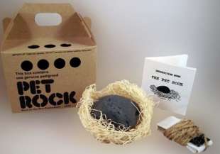 the pet rock