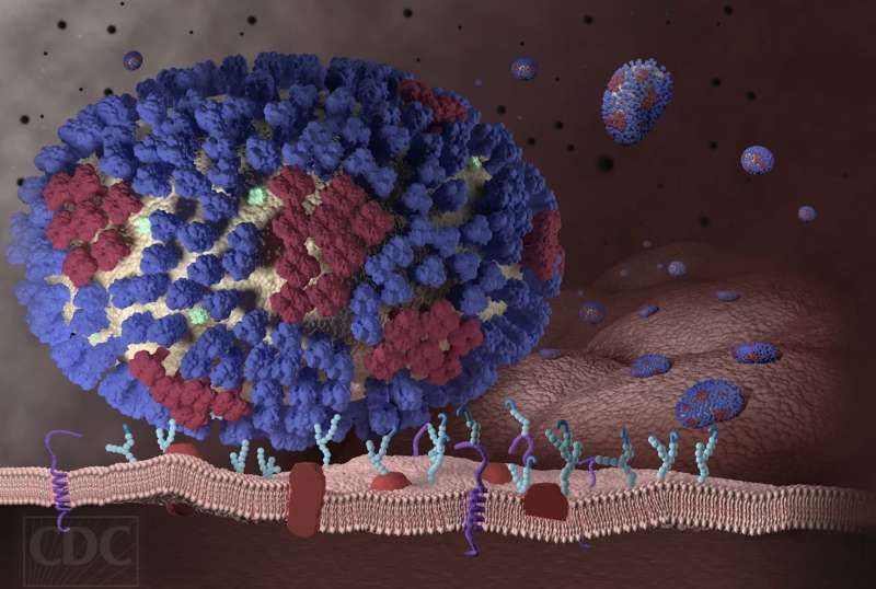 VIRUS IBRIDO INFLUENZA BRONCHITE