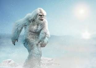 yeti