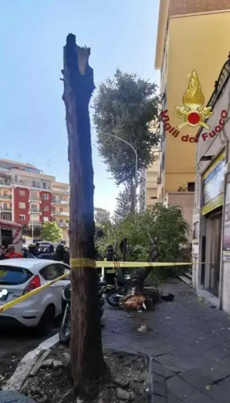 alberi caduti a roma   2