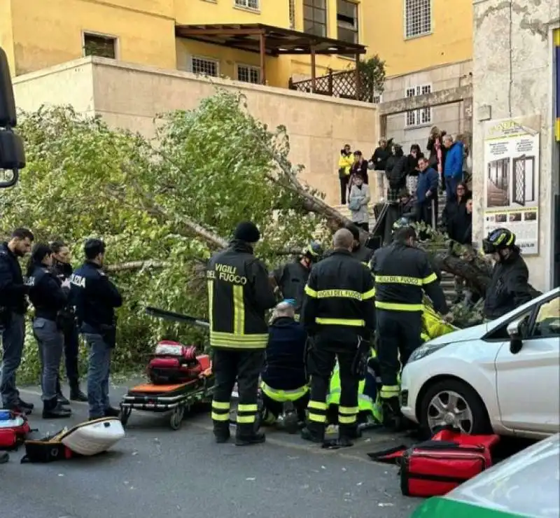 alberi caduti a roma   5