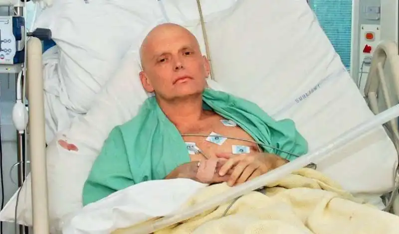 alexander litvinenko 