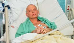 alexander litvinenko