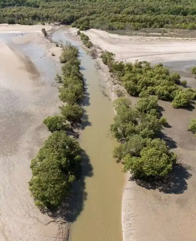 FIUME FINNISS  AUSTRALIA. 