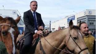 francesco lollobrigida - fieracavalli verona