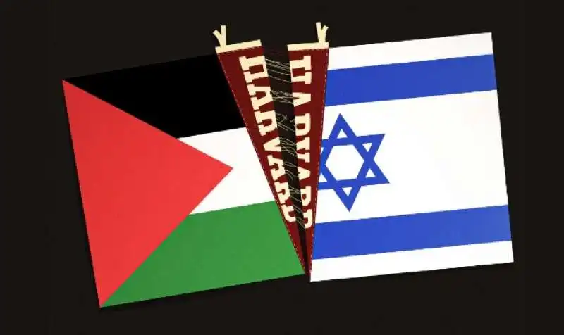 harvard divisa nel conflitto israelo palestinese