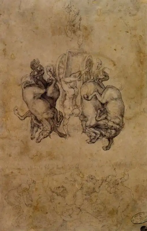 la stanza segreta di michelangelo 7