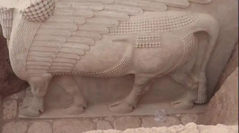 lamassu scoperto in iraq 1