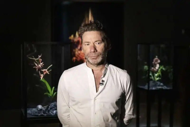 mat collishaw   