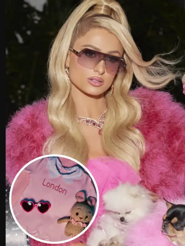 paris hilton 3