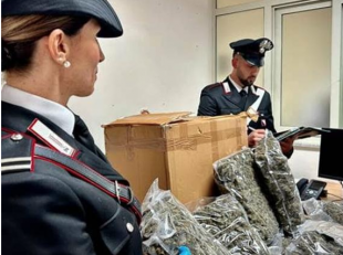 sequestro marijuana