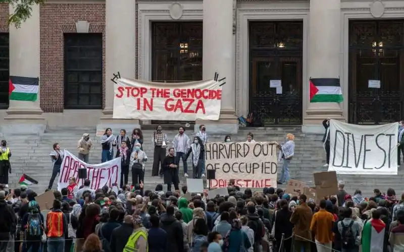 studenti di harvard pro palestina 7