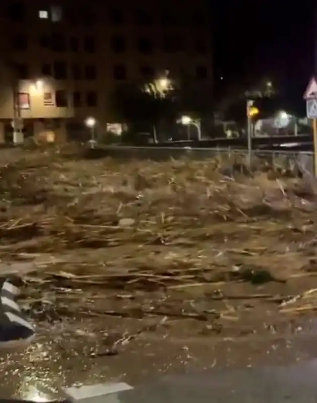 alluvione valencia   4