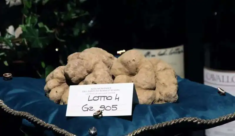 asta mondiale del tartufo bianco d alba 1