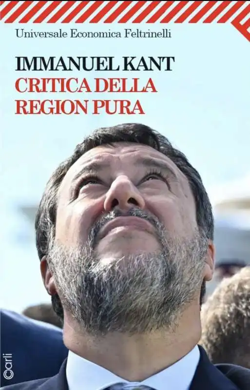 CRITICA DELLA REGION PURA - MEME BY EMILIANO CARLI 