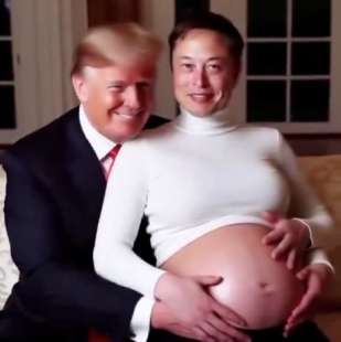 DONALD TRUMP E ELON MUSK - MEME CREATO CON L'INTELLIGENZA ARTIFICIALE