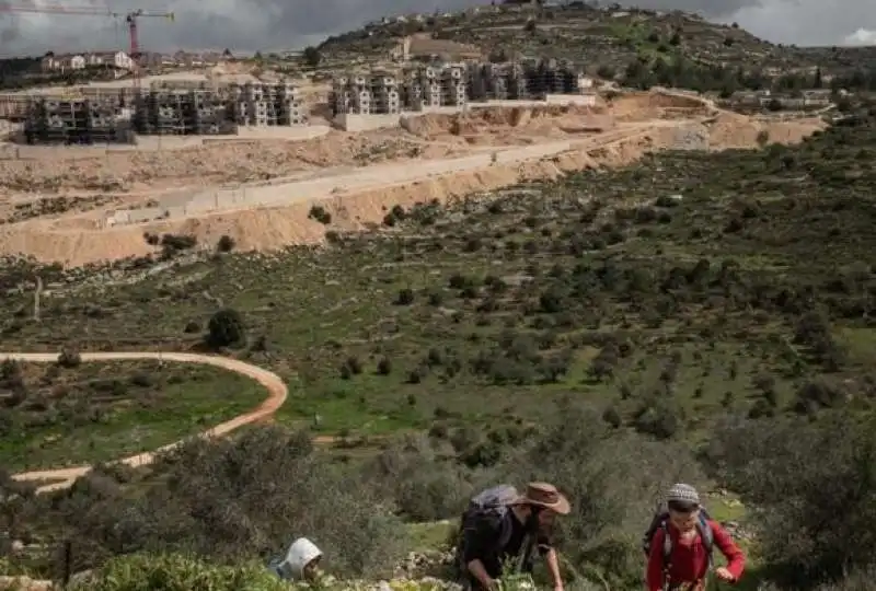 eli - cisgiordania - coloni israeliani