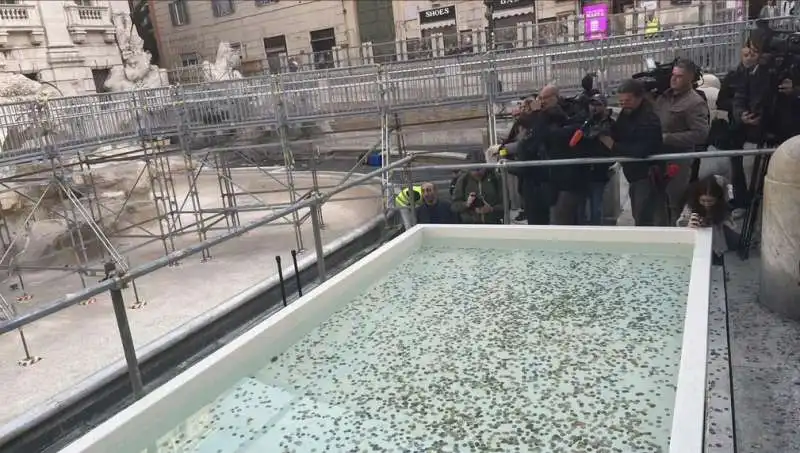 la piscinetta sulla fontana di trevi 