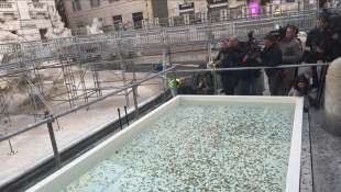 la piscinetta sulla fontana di trevi