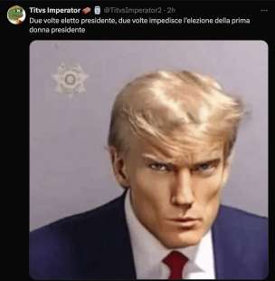 MEME SU DONALD TRUMP