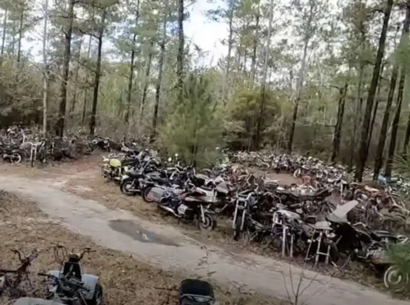 moto discarica in alabama   1